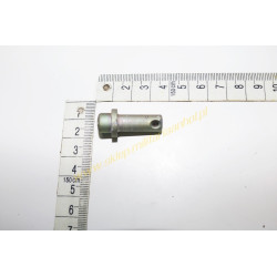 Riegel