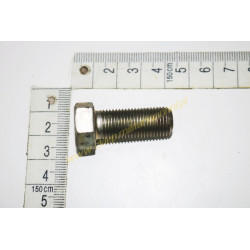 ŚRUBA M12x1,25x30-5,6-II