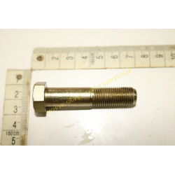 ŚRUBA M12x1,25x55-5,6-II