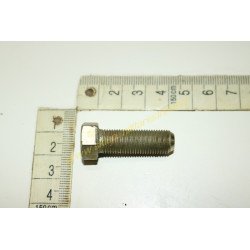 SCHRAUBE M10x1x30-5,6-II