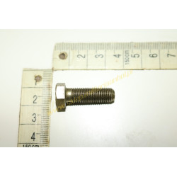 SCHRAUBE M8x1x25-5,6-I