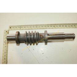 Worm shaft of the...